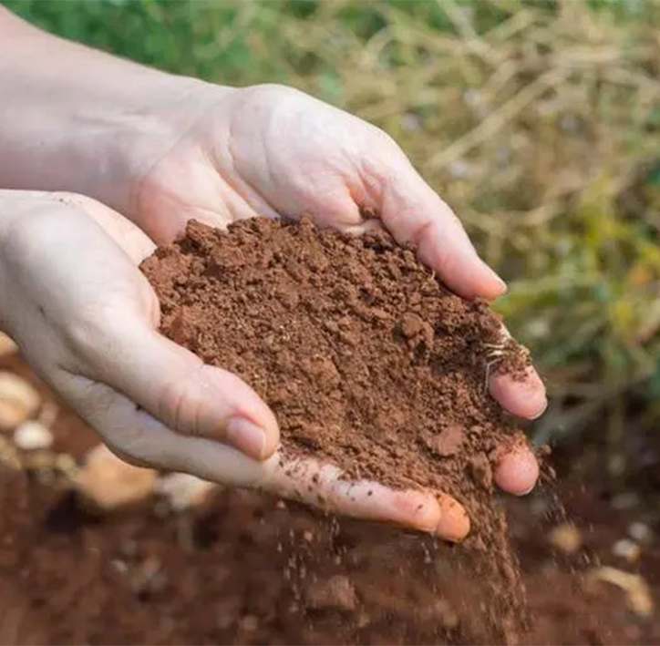 土壤检测